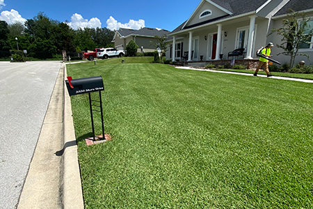 Lawn Service Lakeland FL