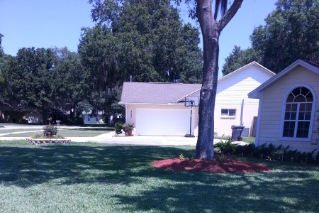 Lawn Service Lakeland FL