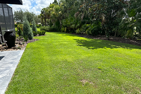 Lawn Service Lakeland FL
