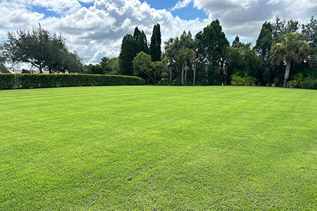 Lawn Service Lakeland FL
