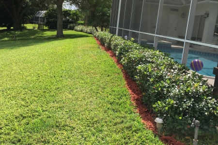 Lawn Service Lakeland FL