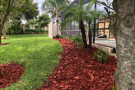 Lawn Service Lakeland FL