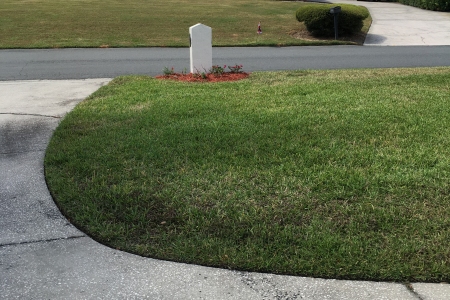 Lawn Service Lakeland FL