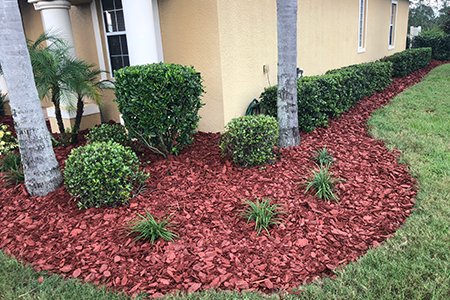 Lawn Service Lakeland FL