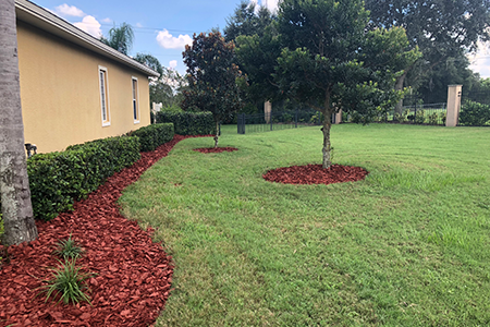 Lawn Service Lakeland FL