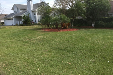 Lawn Service Lakeland FL