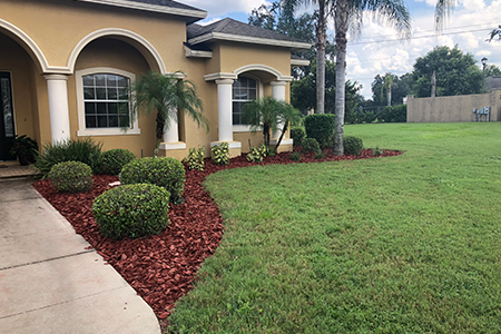 Lawn Service Lakeland FL
