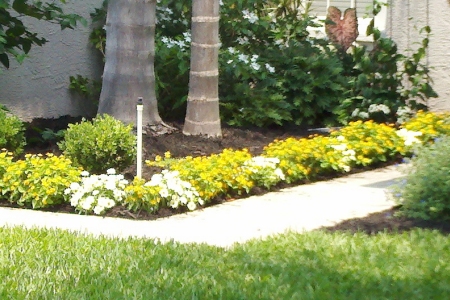 Lawn Service Lakeland FL