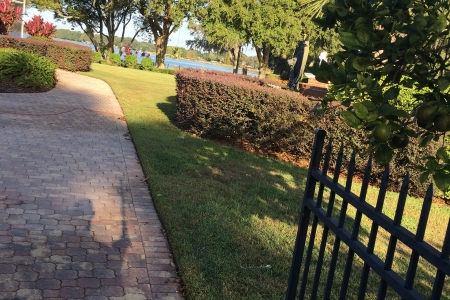 Lawn Service Lakeland FL