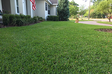 Lawn Service Lakeland FL
