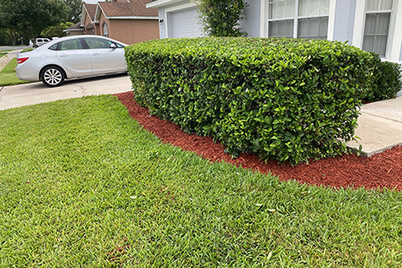 Lawn Service Lakeland FL