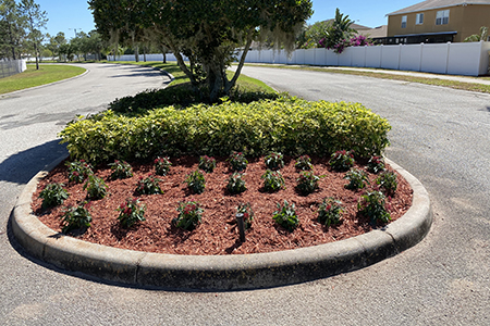 Lawn Service Lakeland FL