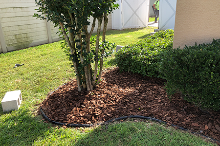 Lawn Service Lakeland FL