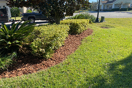 Lawn Service Lakeland FL