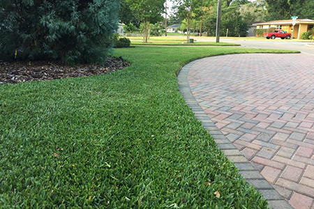 Lawn Service Lakeland FL