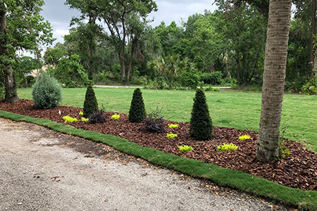 Lawn Service Lakeland FL